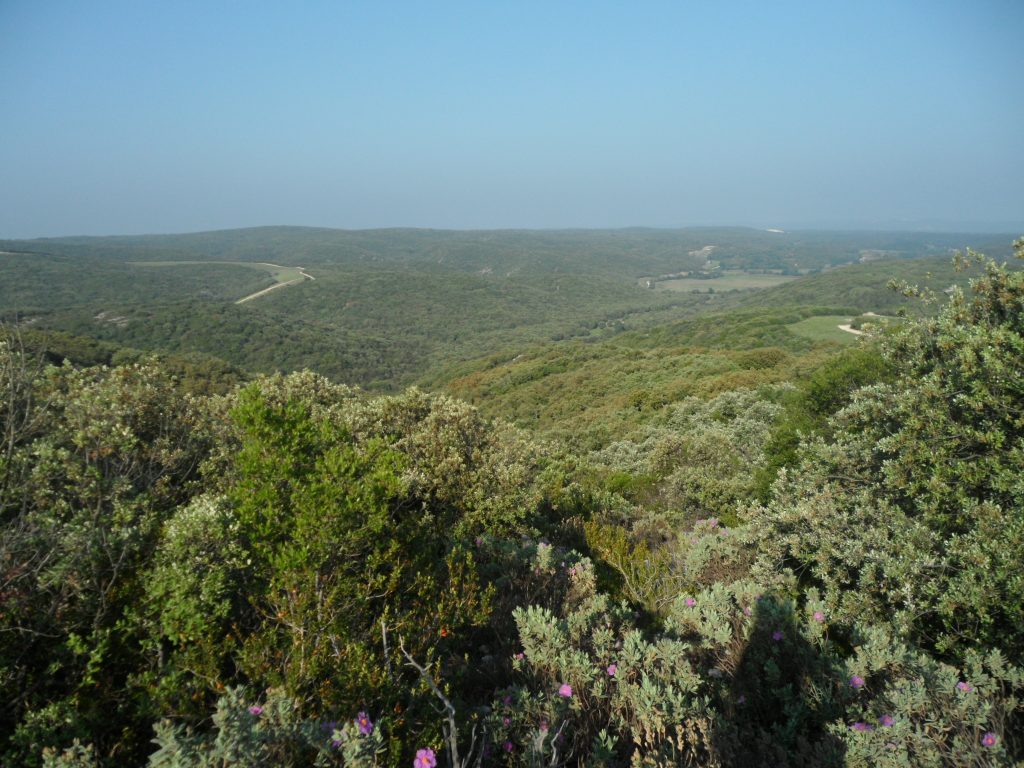 Les Garrigues