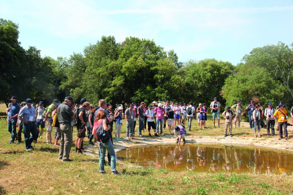 Camp des Garrigues