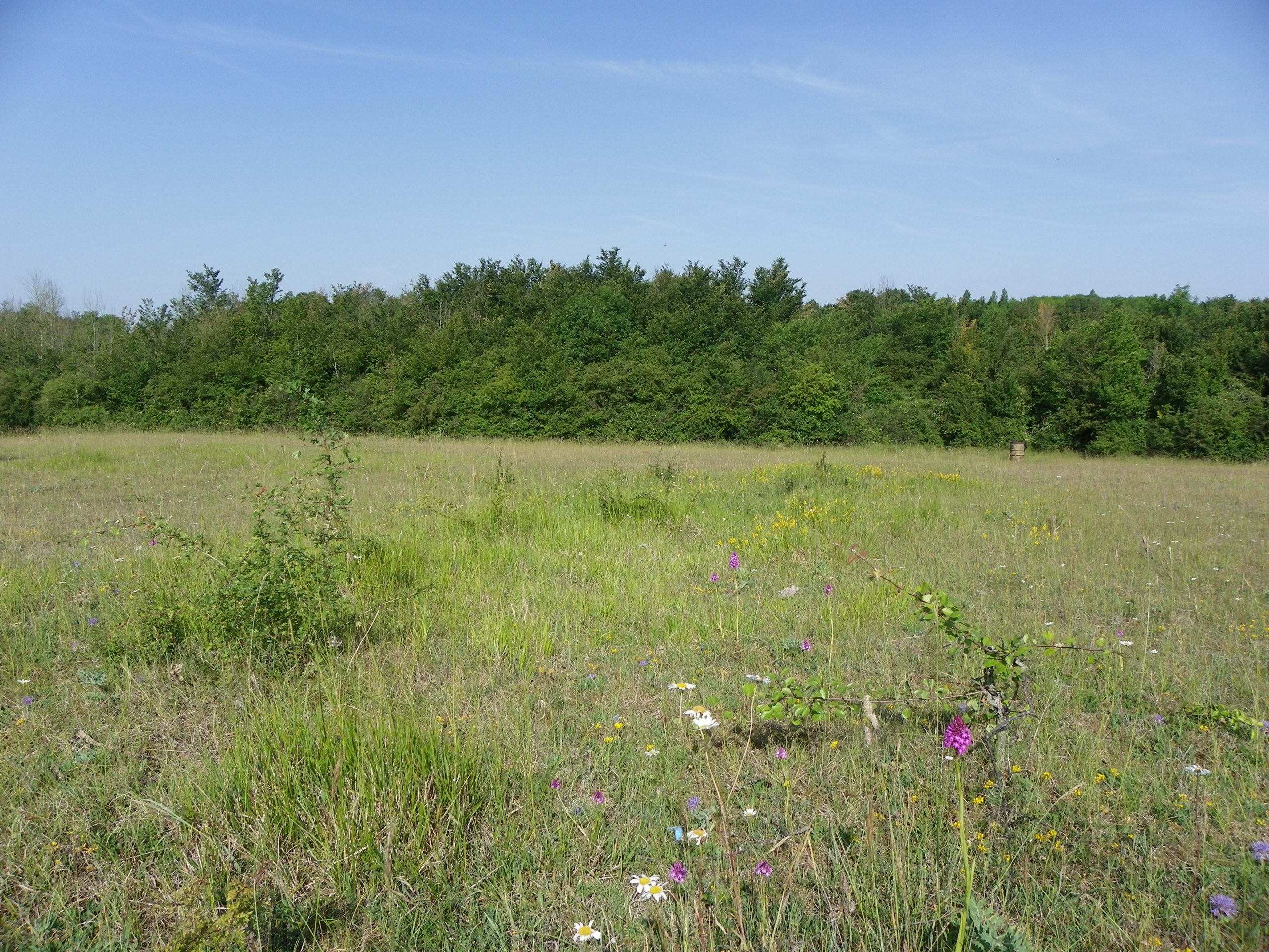 Le terrain militaire d'Avon