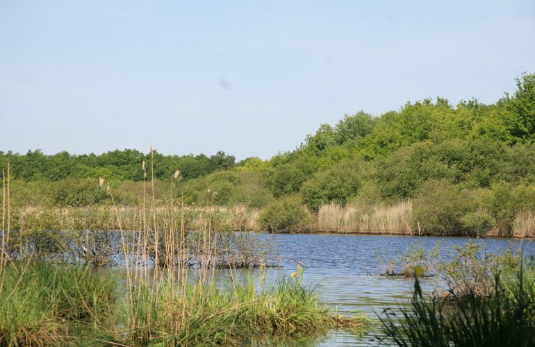 Etang Pétaveau