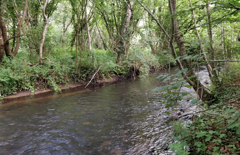 Cours d'eau dans le camp d'Auvours