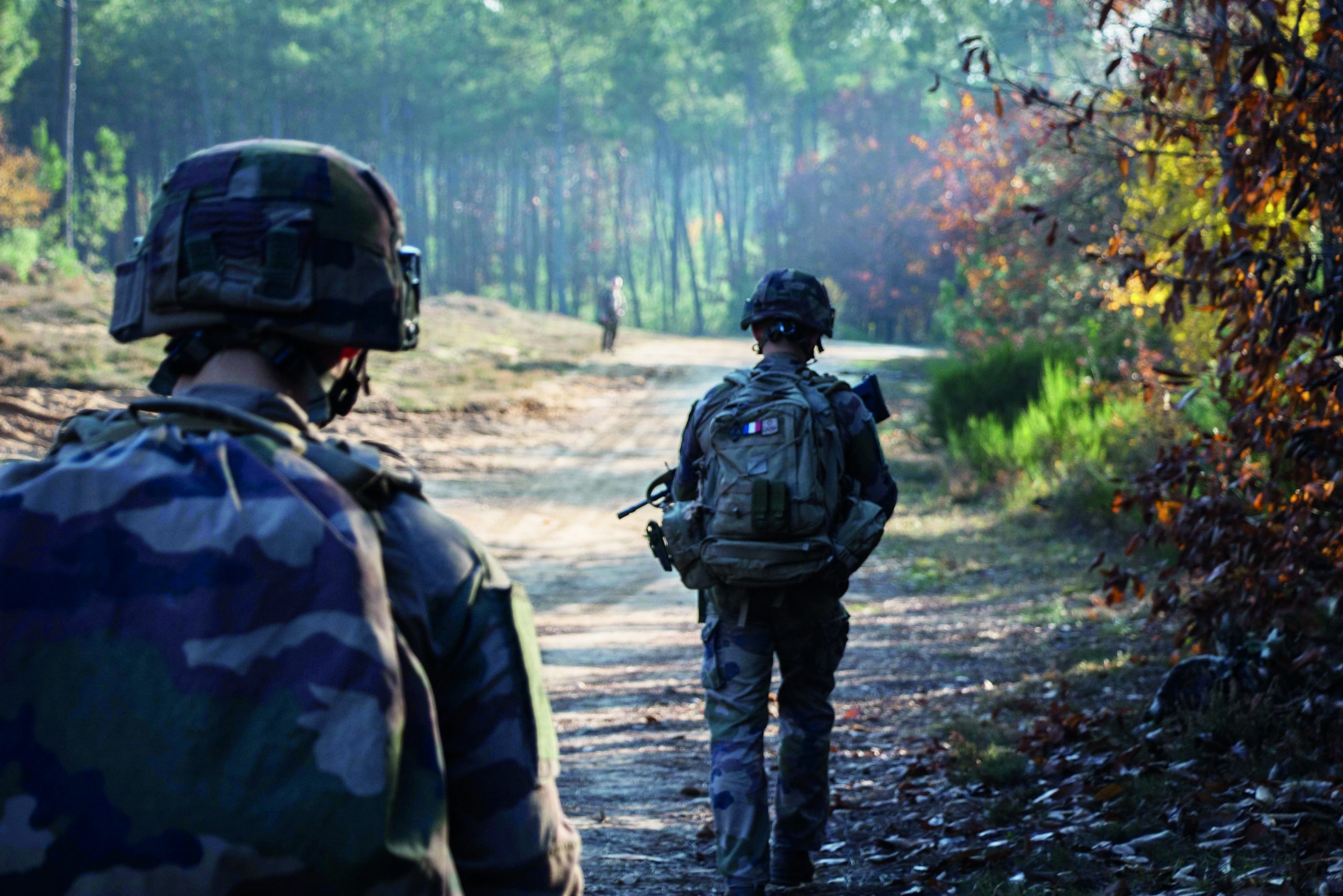 The Armed Forces And Biodiversity Arm e Et Biodiversit 