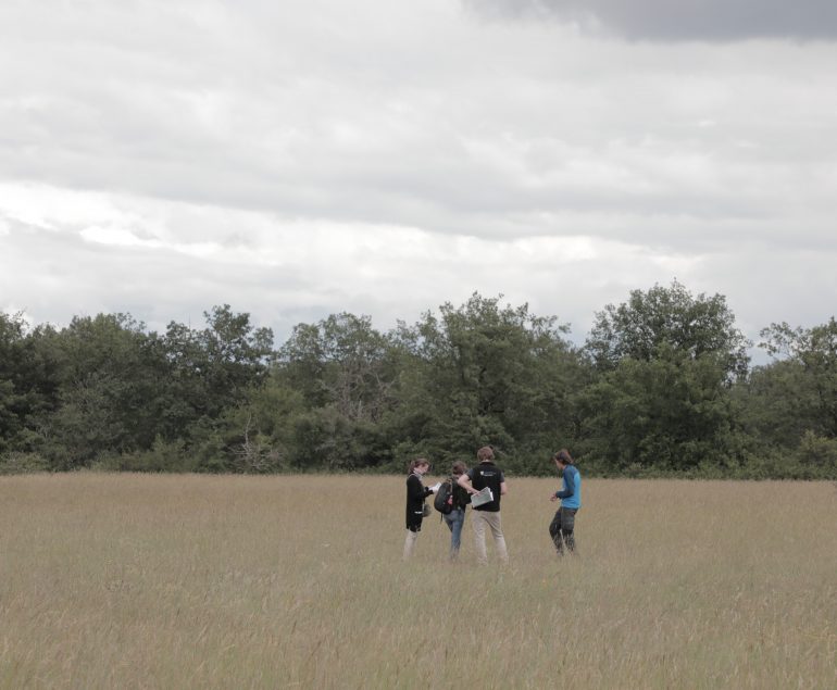 Naturalistes