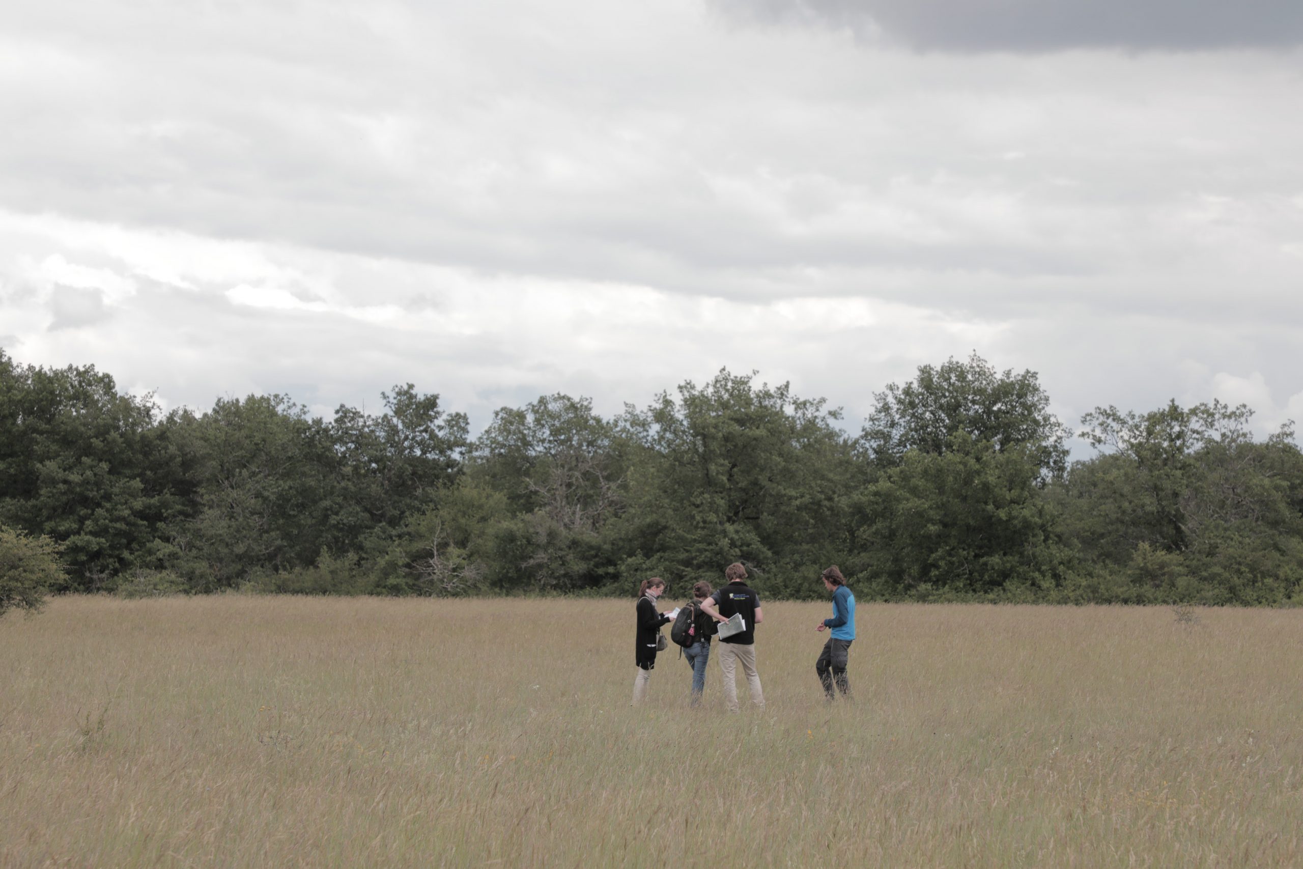 Naturalistes