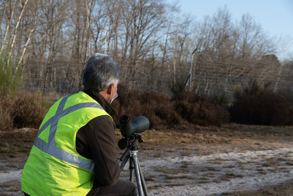 Prospections naturalistes sur le DA273 par le CEN Loir et Cher - Crédits : DA273 - MINARM