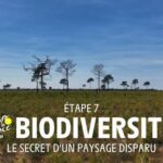 Etape 7