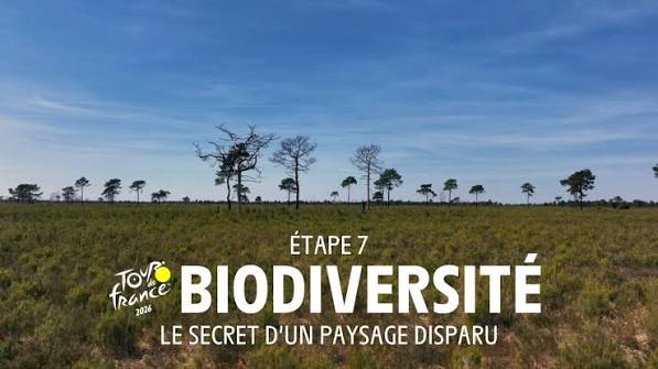 Etape 7