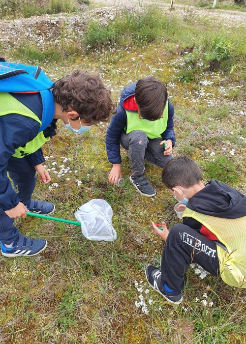 La-Valbonne-naturalistes-en-herbe-1