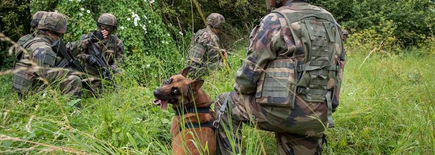 Crédits : A. Karaghezian – ECPAD - Entraînement militaire au camp de Suippes